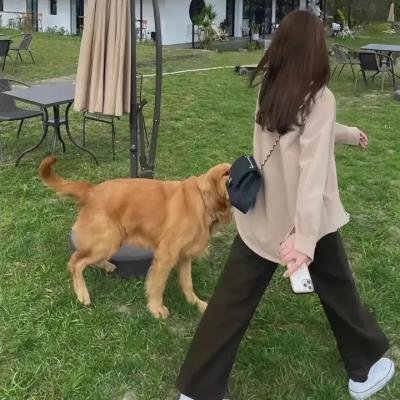 猫与爷爷